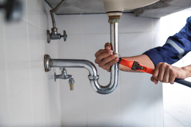 Best Plumbing Inspection Services  in Seffner, FL